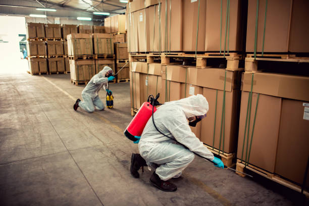 Wasp Removal Services in Kenbridge, VA