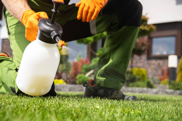 Best Rat Extermination Near Me  in Kenbridge, VA