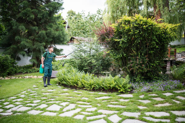 Best Pest Control Near Me  in Kenbridge, VA