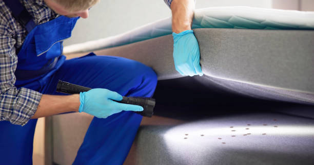Best Flea Control Services  in Kenbridge, VA