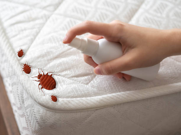 Best Residential Pest Control  in Kenbridge, VA