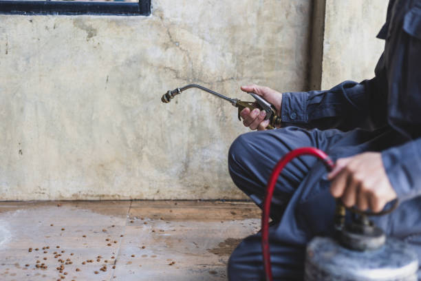 Best Pest Control for Homes  in Kenbridge, VA