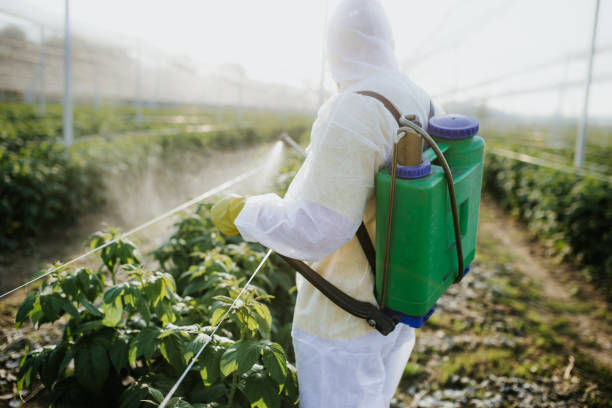 Best Emergency Pest Control  in Kenbridge, VA